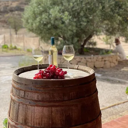 别墅 Finca Rural Los Olivos En Arico *
